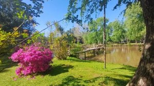 Venta Cuatro Cabañas En Delta Tigre Arroyo Espera