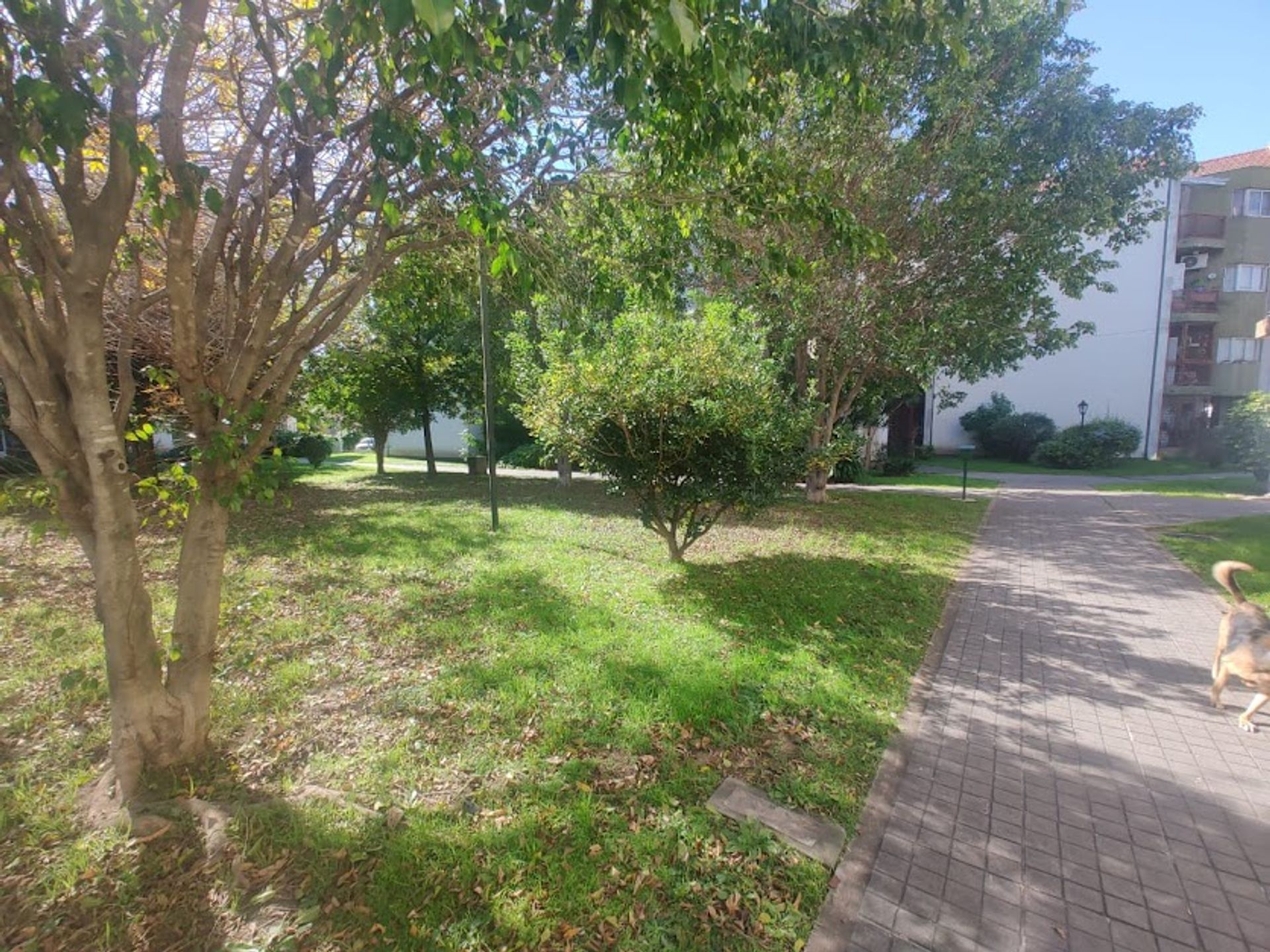 Venta Departamento 2 Ambientes