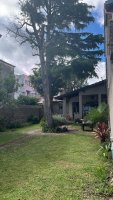 3-Room House for Sale with Garden and Patio – Olivos