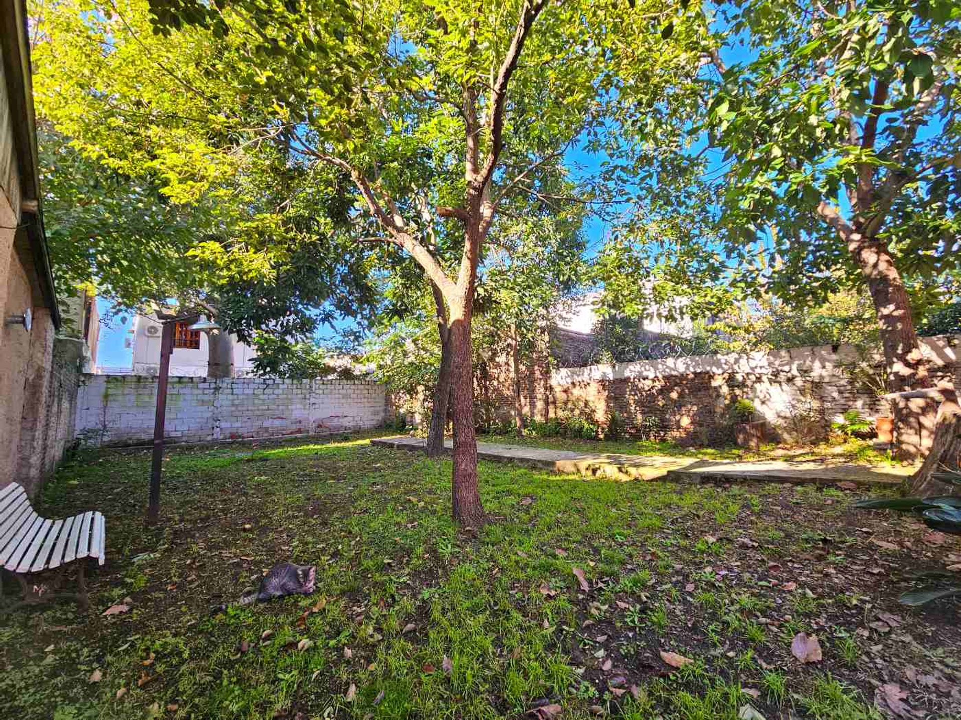Venta Dos Casas, Multifamiliar En Villa Adelina