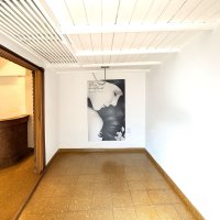 Front-Facing Two-Story Apartment, Credit, No Expenses