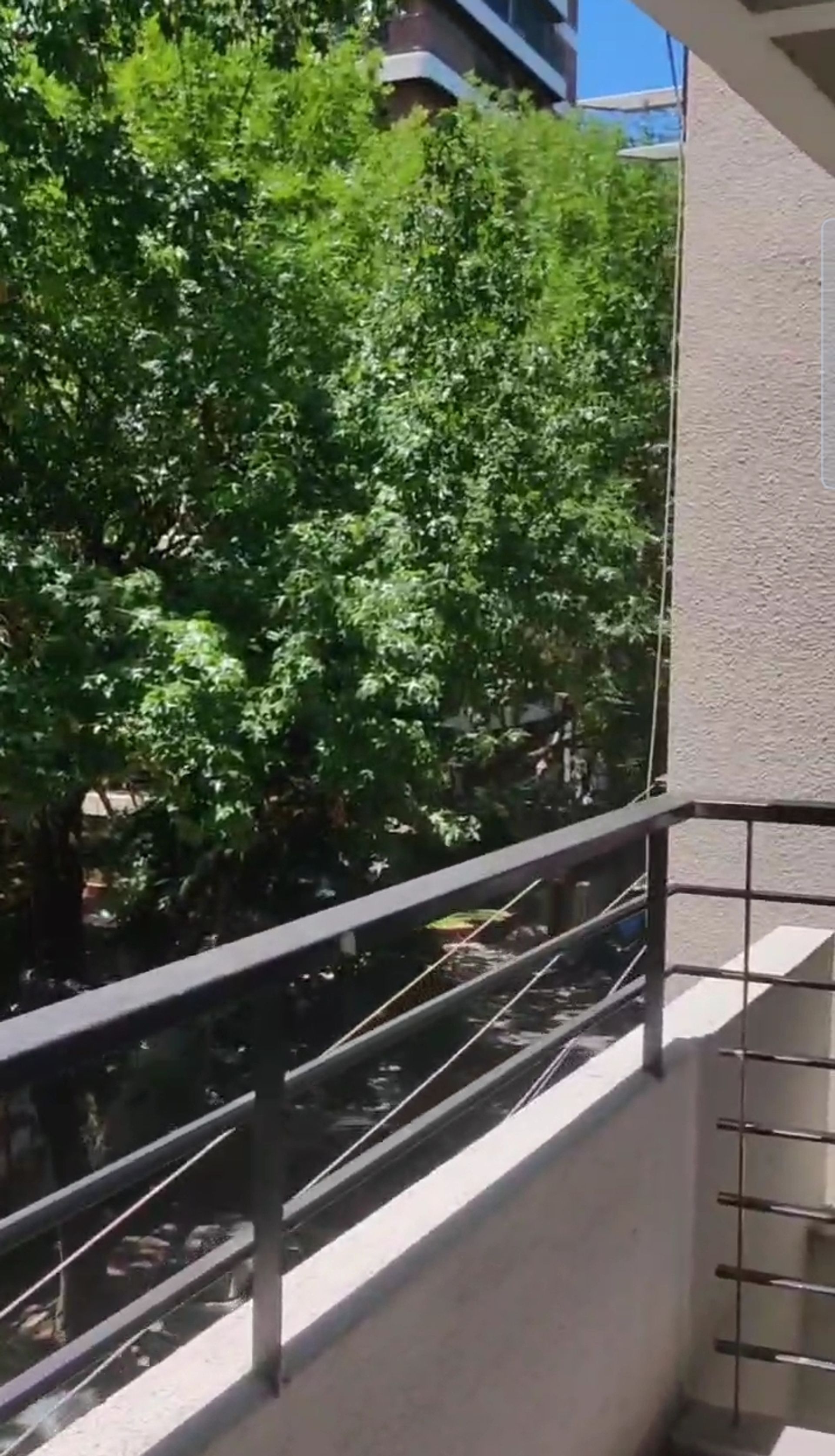 Alquiler temp 2 dorm + escrit cocher Olivos balcon