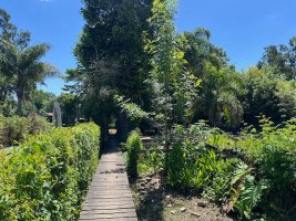 Lote Casa 2 Y 3 Ambientes Venta Isla Delta Tigre