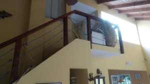 Venta Casa Delta Del Tigre Seccion 1 Arroyo Toro
