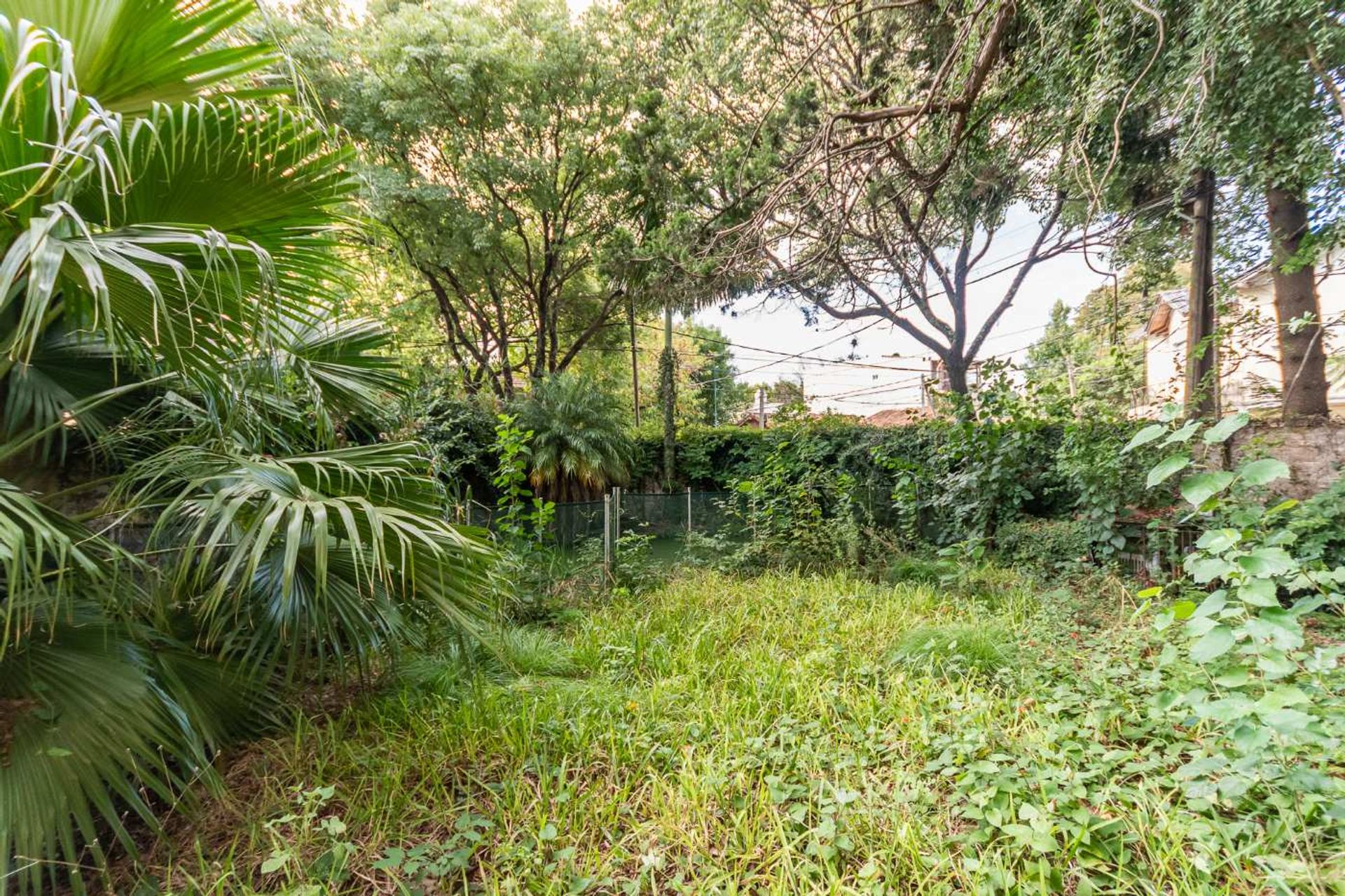 Venta casa 7 amb. con pileta a refaccionar, Olivos