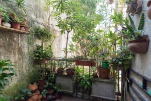 Venta - Vicente Lopez, Departamento 4 Ambientes