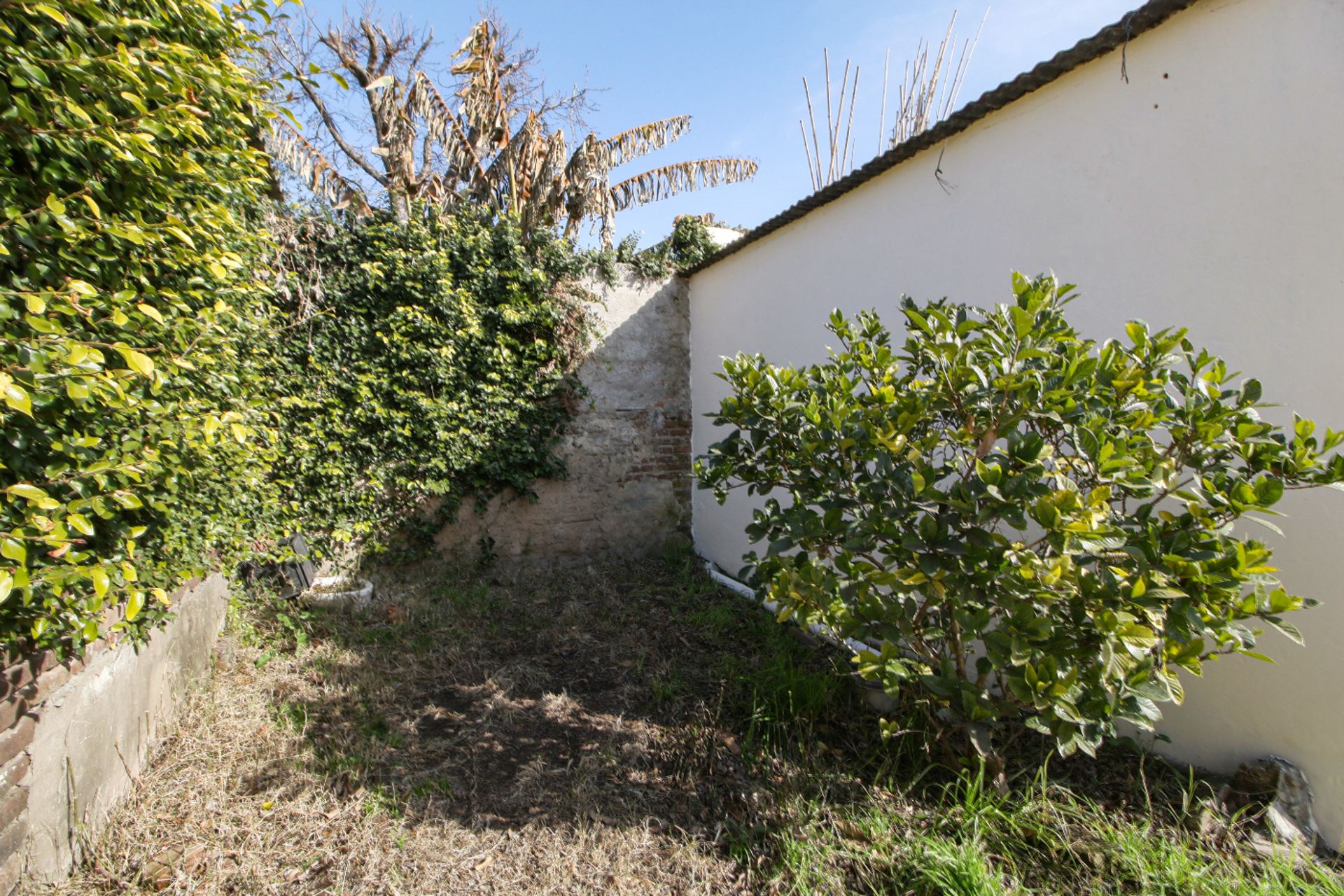 Casa 3 amb jardin/patio muy linda T. de Pacheco