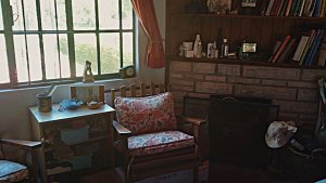 Sale House and Cabin Delta Tigre