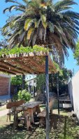 Casa En Venta En Talar De Pacheco C/ Pileta