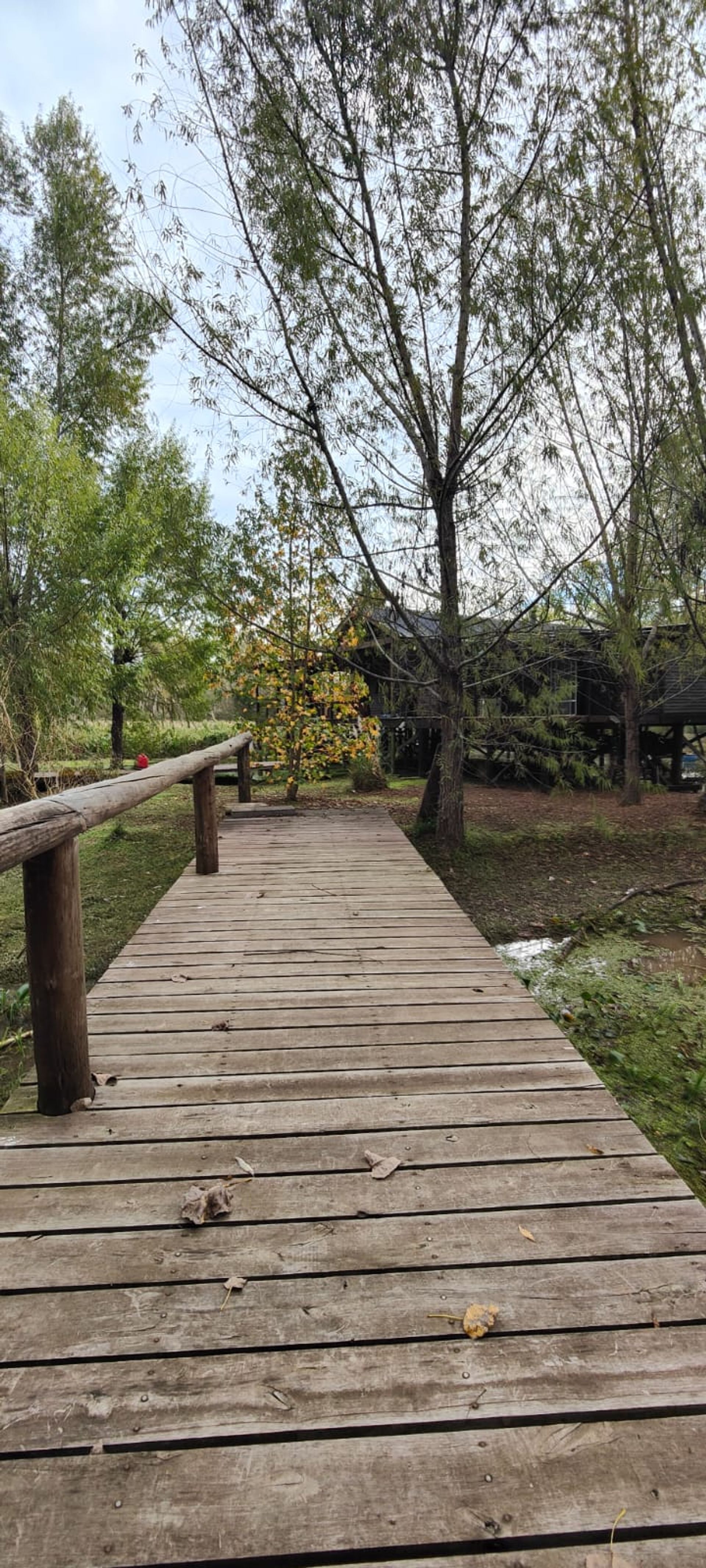 Oportunidad de inversion Delta ArroyoToro 15.500m2