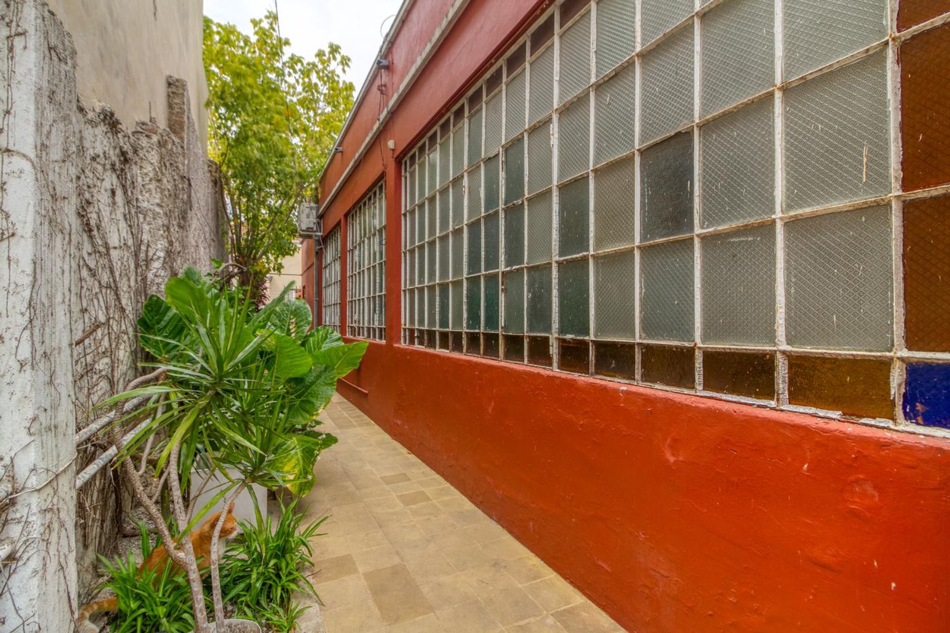 CASA MUTIFAMILIAR VENTA BECCAR LOTE PROPIO 240m2