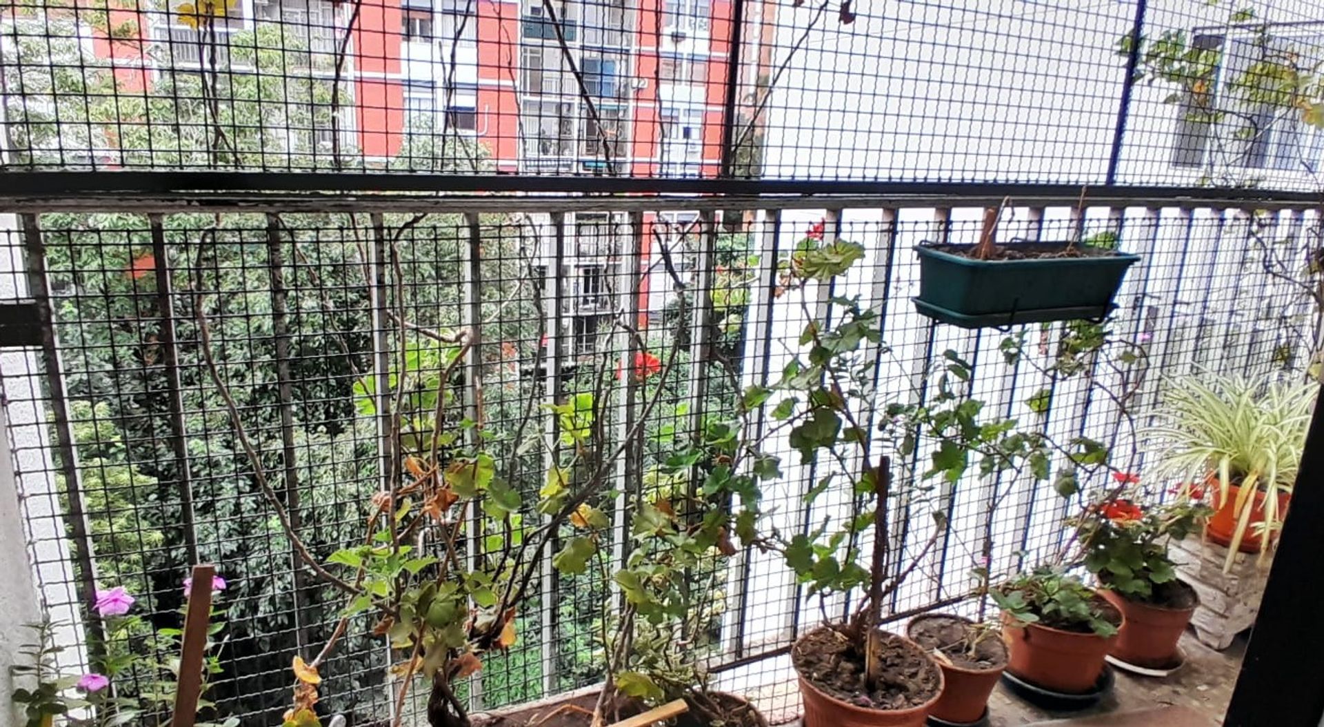 Dto 4 Amb Se Vende En Acassuso Centro Oportunidad!