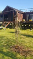 Oportunidad de inversion Delta ArroyoToro 15.500m2