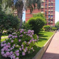 FOR SALE: 3-room Apartment on Blas Parera Olivos Collector