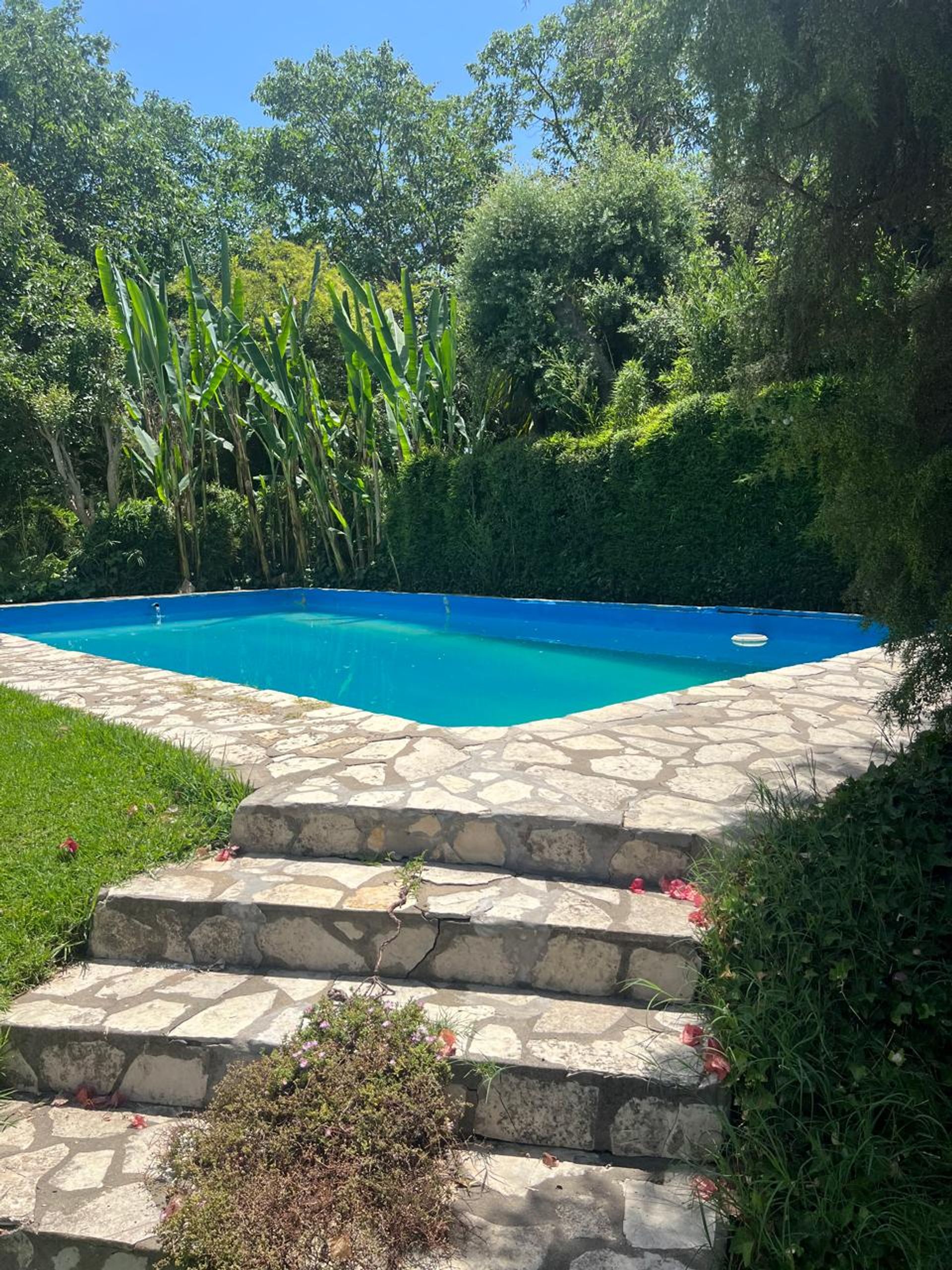 Casa Venta 4 Dorm Don Torcuato C Pileta 2700 Mts2