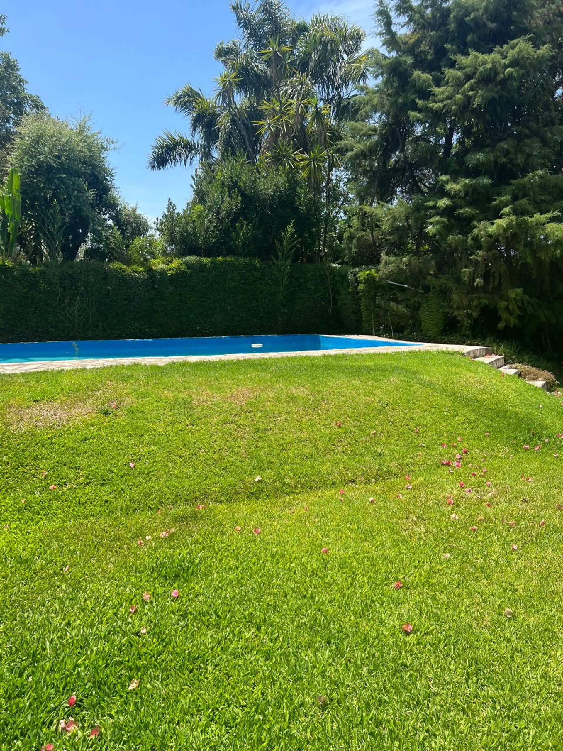 Casa Venta 4 Dorm Don Torcuato C Pileta 2700 Mts2
