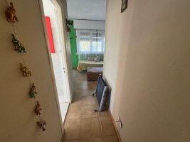 3-room house Delta Tigre