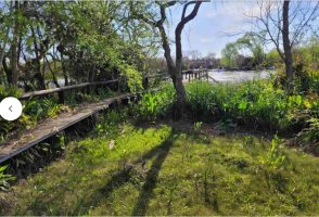 Sale of 2 Cabins on a 7,500 m² lot, San Fernando