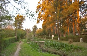 House for Sale Tigre 1st Section Large Lot
