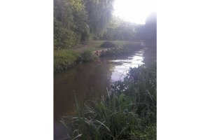House for Sale Tigre 1st Section Large Lot
