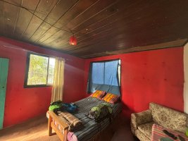 House for Sale 3 Rooms Spacious Plot Delta Tigre