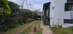 2-room house with large lot in Tigre