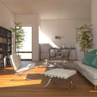 Great Investment Opportunity Torre Own Tigre