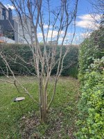 Sale Ph 3 Rooms El Palmar Nordelta