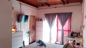 2-Unit House + Studio on Own Lot