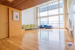 Penthouse 4 amb venta Torres Horizons V. Lopez