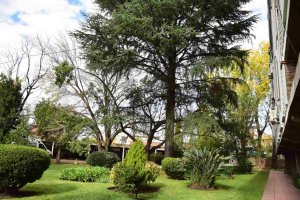 Departamento 4 Ambientes Venta San Isidro Beccar