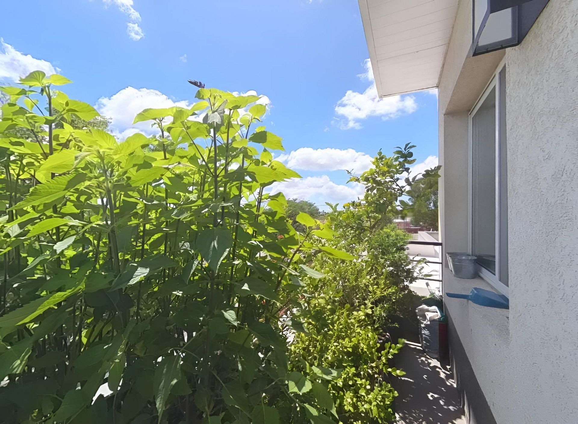 Dpto Triplex En Venta Tigre Rincon De Milberg