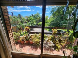 House for Sale on Corner with Terrace