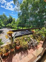 House for Sale on Corner with Terrace