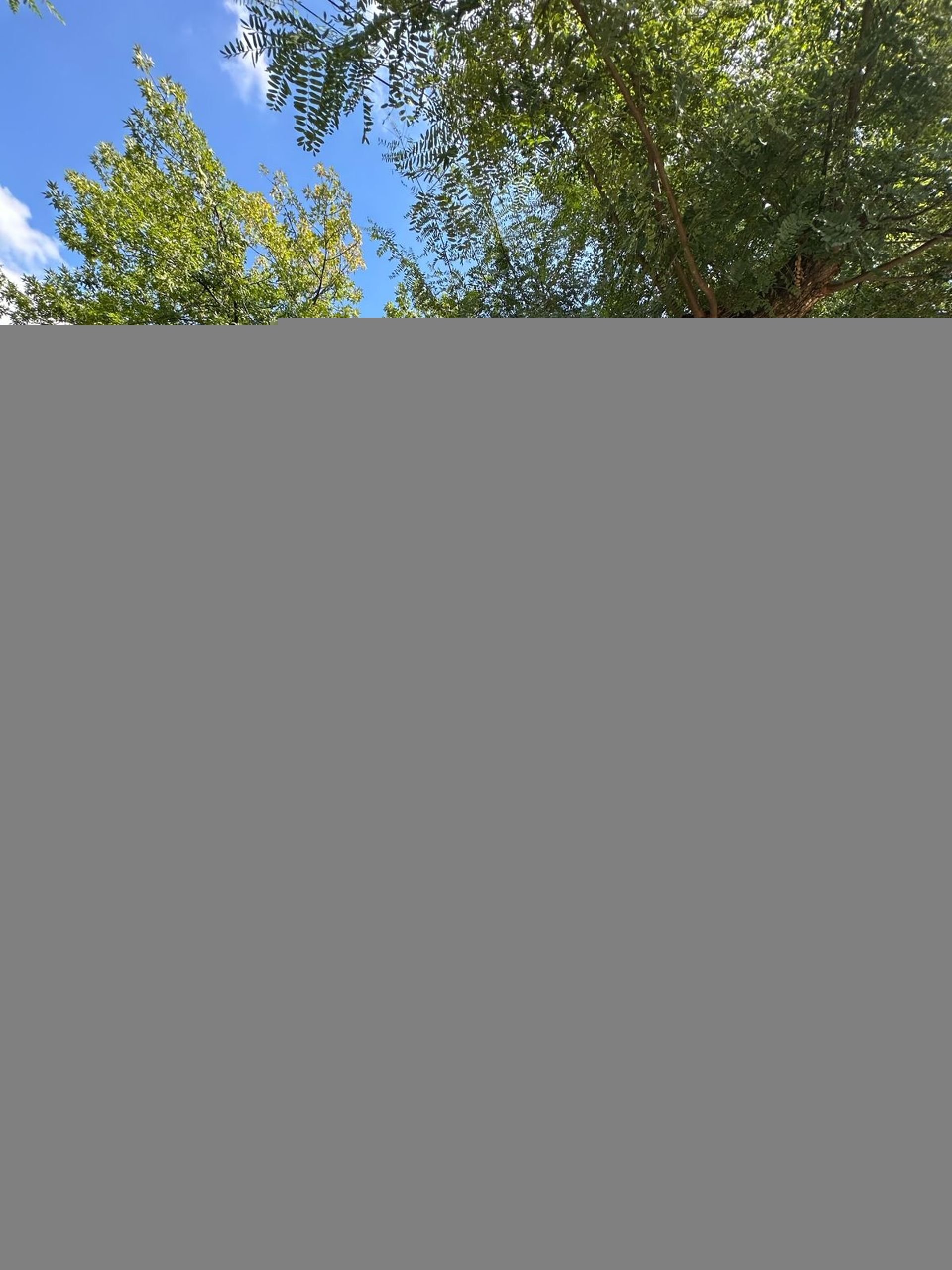 VENTA Departamento en POZO 3 amb Victoria
