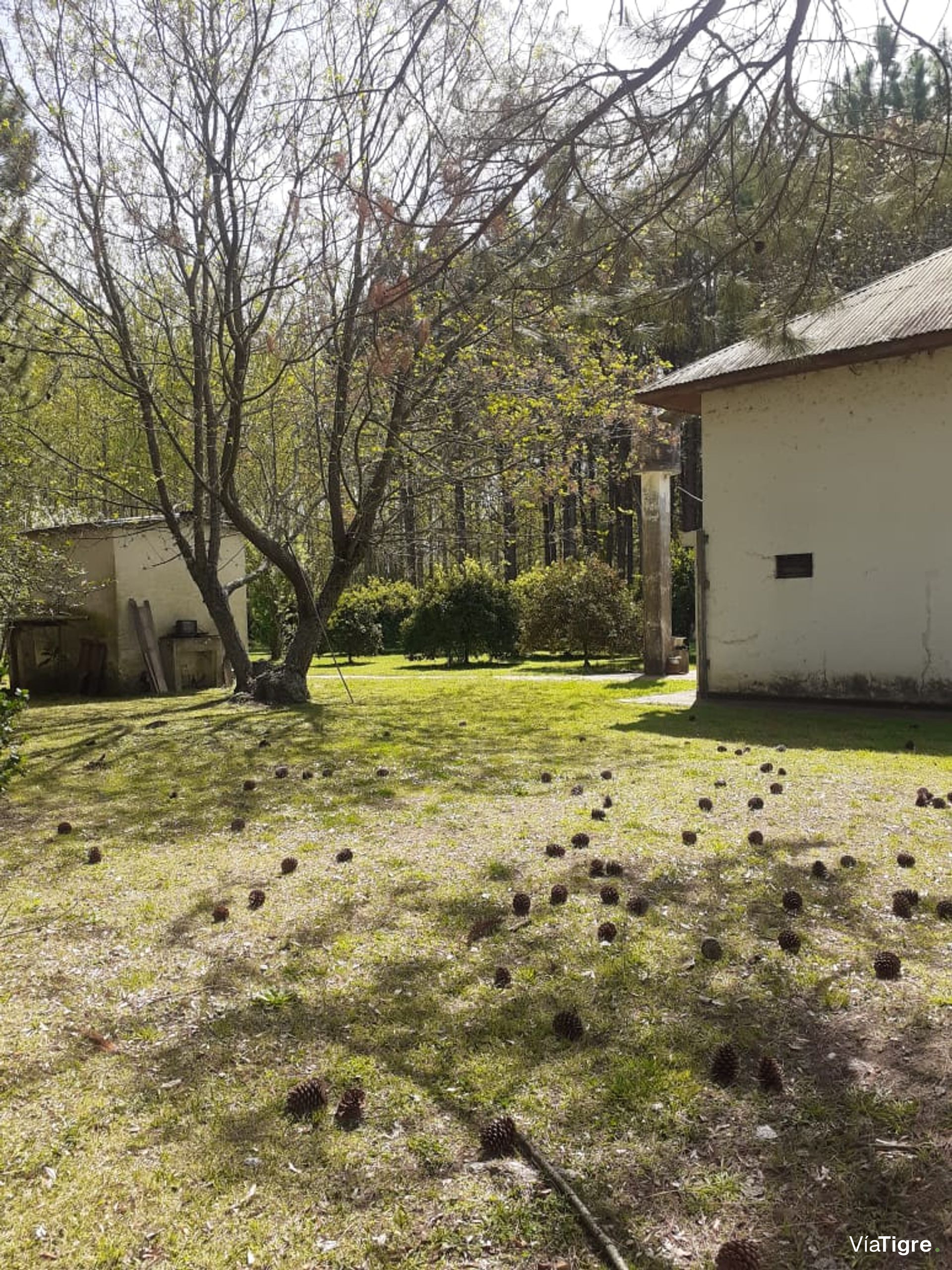 Venta Casa 4 Ambientes Delta San Fernando