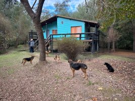House for Sale 2 Rooms Rio Carapachay Delta Tigre