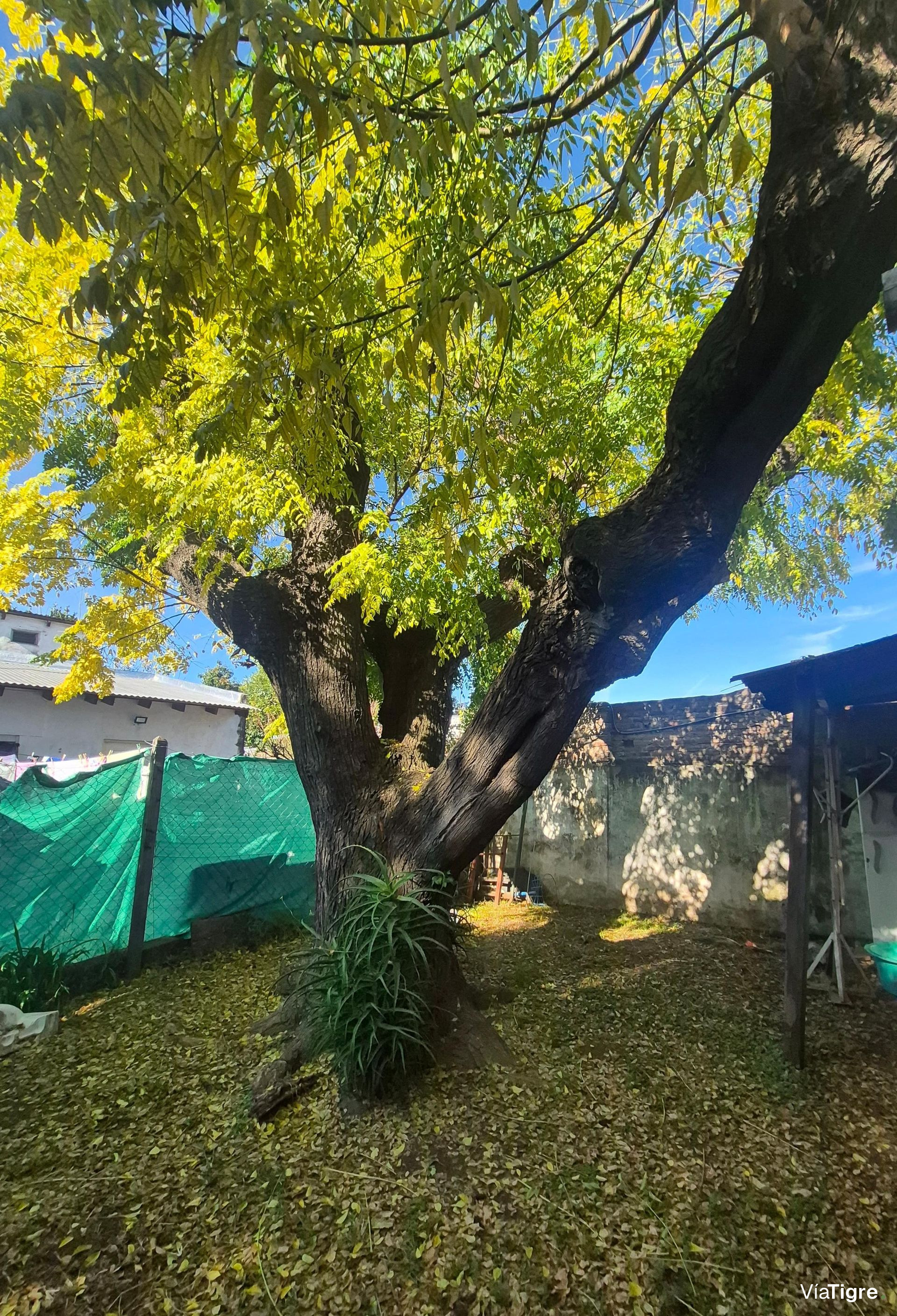 Casa En Venta De 4 Amb En Benavidez Centro