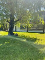 Casa Venta San Isidro Labrador Villanueva Amarra