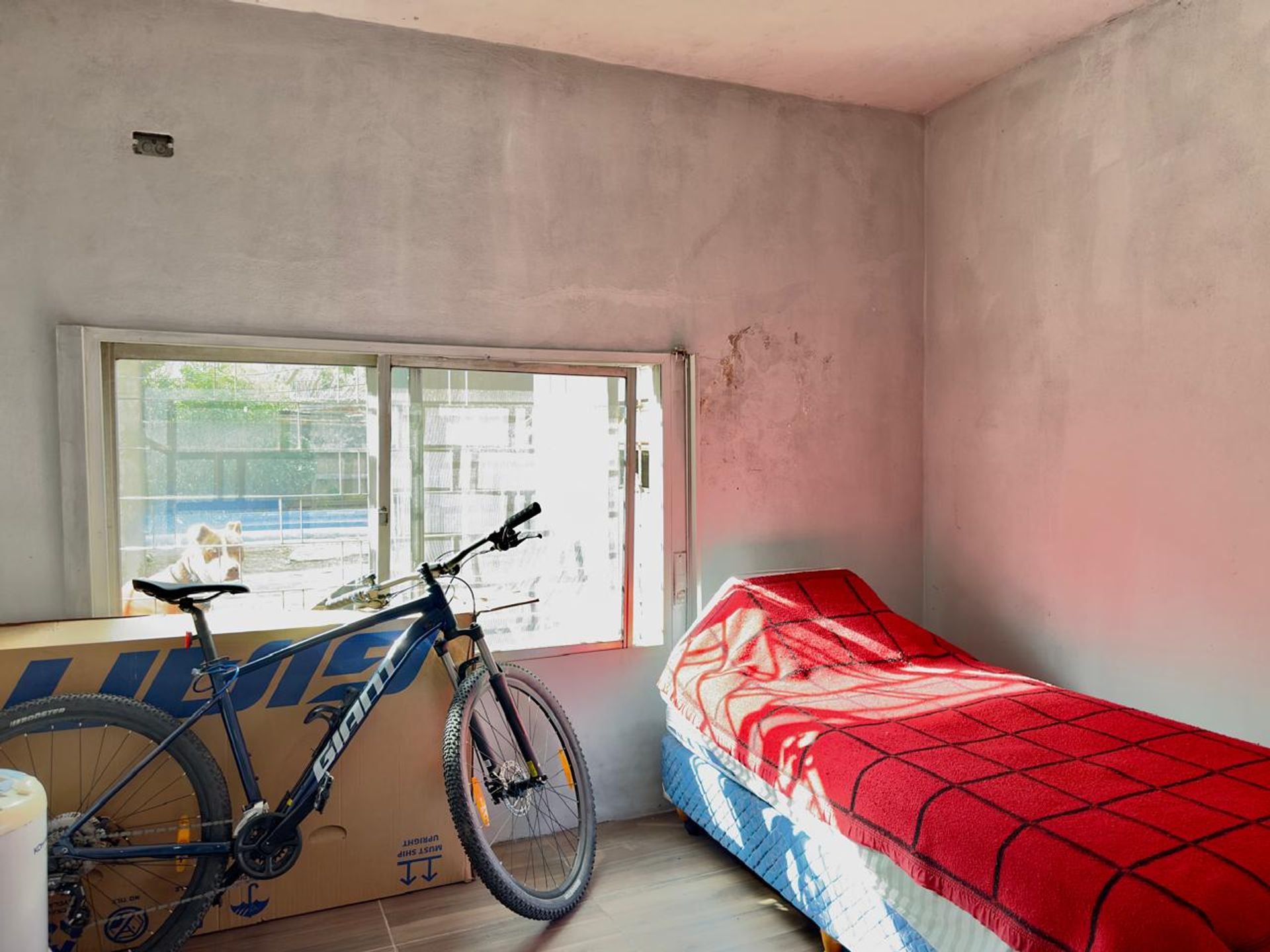 Venta Casa 3 Ambientes Con Pileta Benavidez Tigre