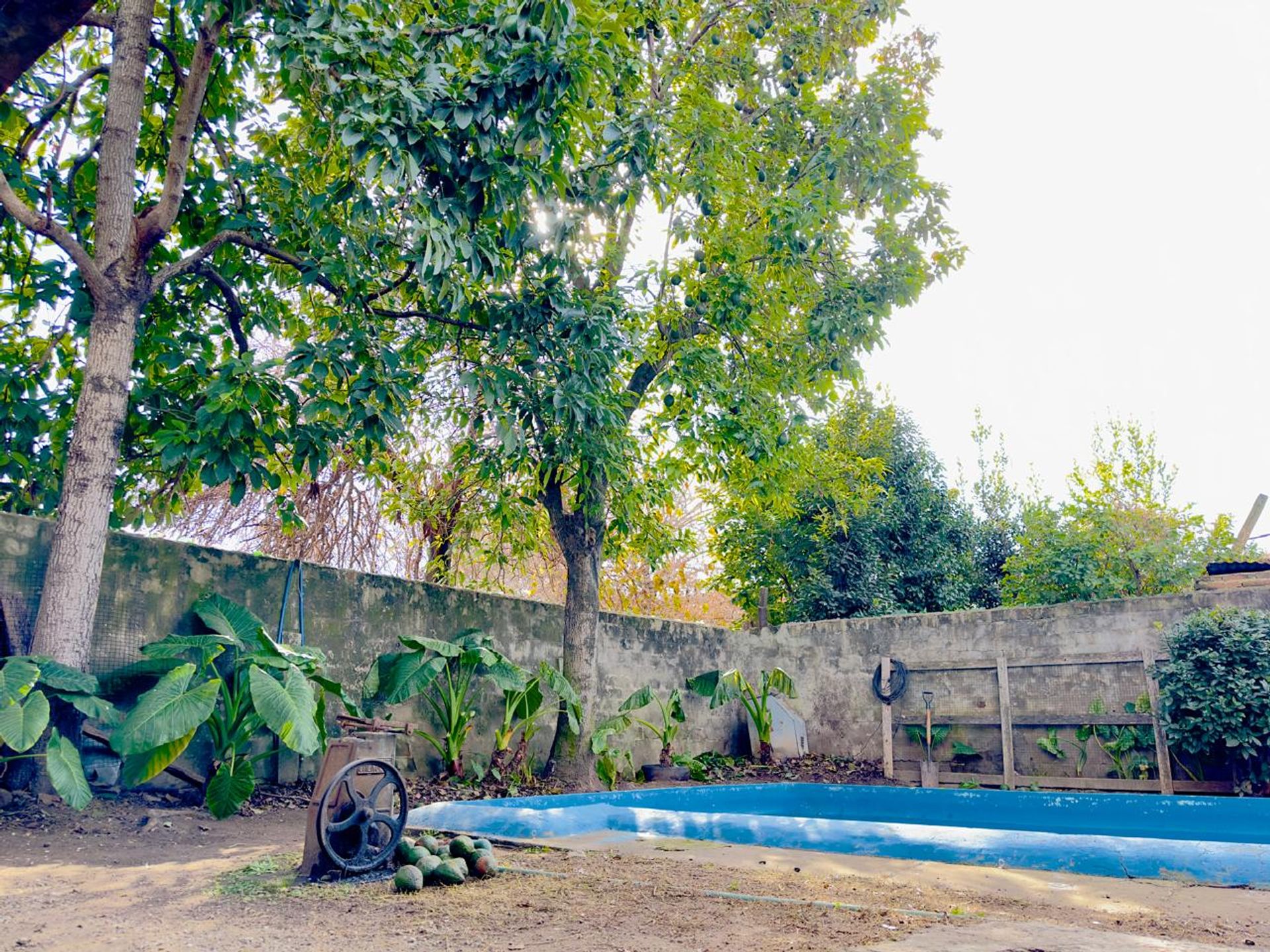 Venta Casa 3 Ambientes Con Pileta Benavidez Tigre