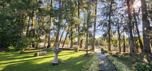 House for sale in the delta, Rio Caraguata