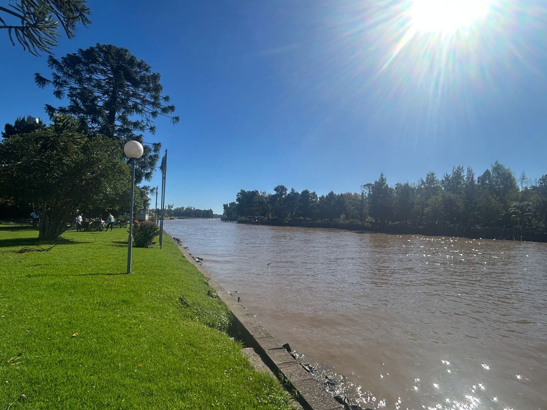 Venta Depto 5 amb. con balcón cochera amarra.