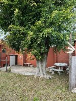 PH House Sale - Apartment Credit! Don Torcuato