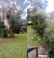 House for Sale, Delta Tigre