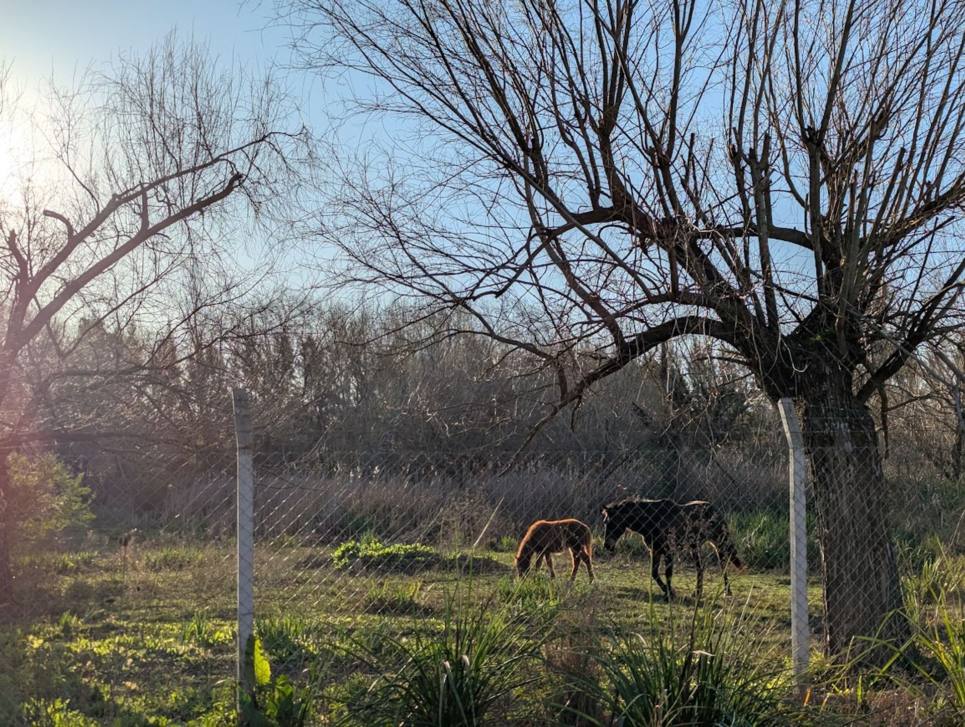 Casa venta 4 ambien Rincon de Milberg Tigre Soeva