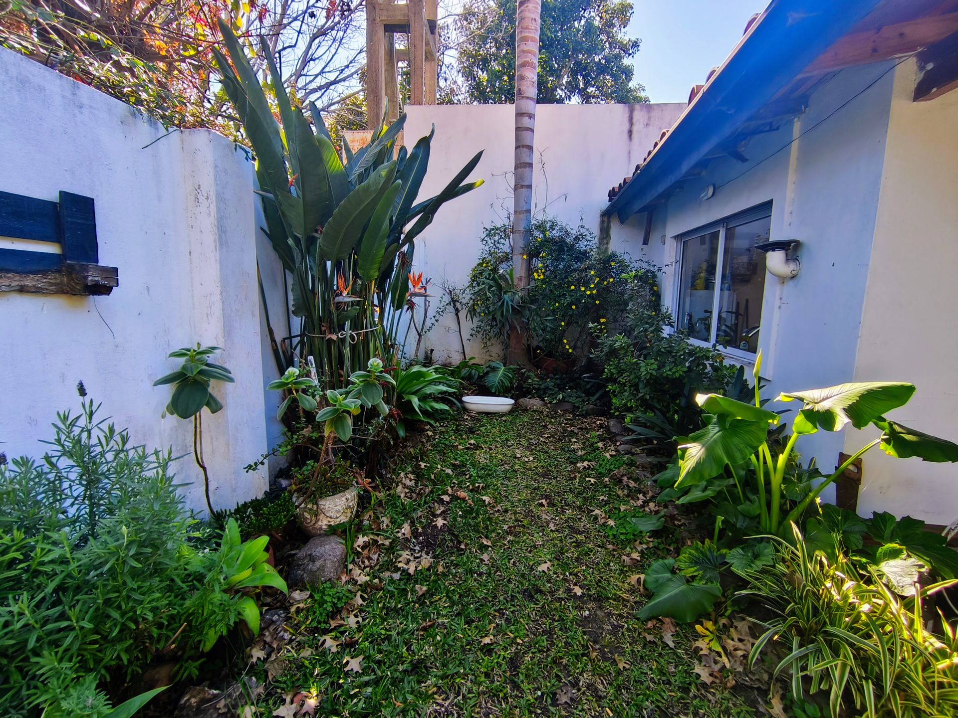 Venta casa 5 ambientes cochera Olivos Apto crédito
