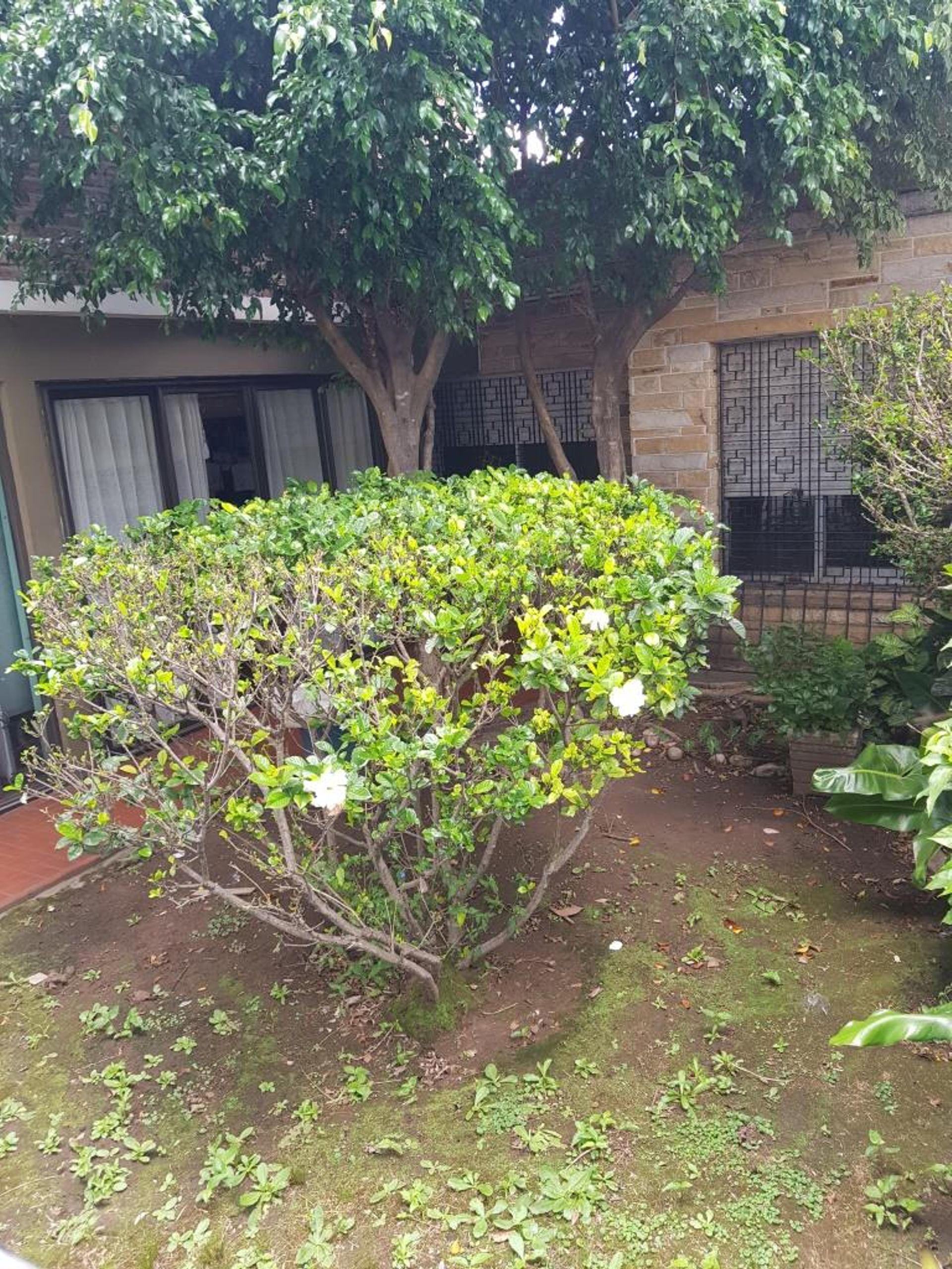 Venta Casa Para Refacción Total Boulogne