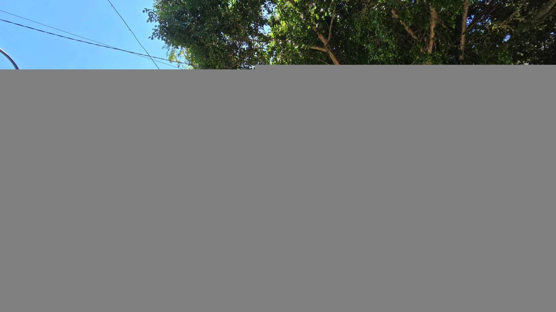 Venta Ph 4 Amb En Olivos C/Terr. Y Coch. Sin Exp.