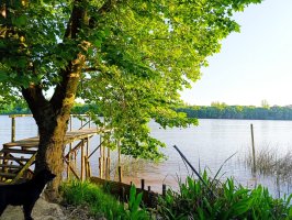 Cabins and Dome Sale in the Delta